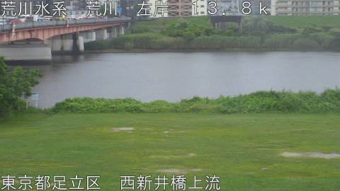 arani2026061508_image