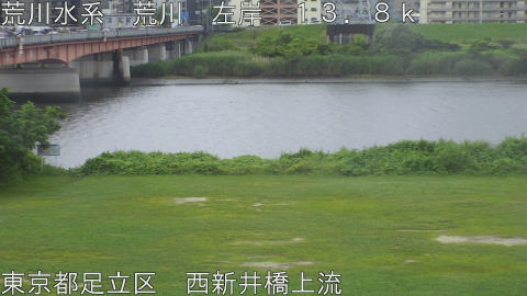 arani2026061509_image