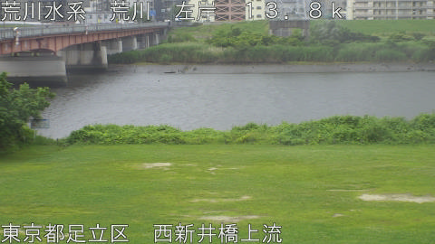 arani2026061511_image