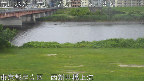 arani2026061512_image