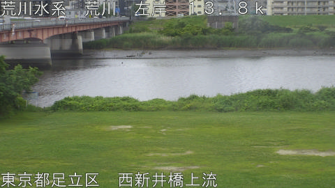 arani2026061513_image