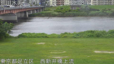 arani2026061514_image