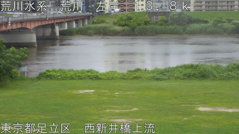 arani2026061515_image