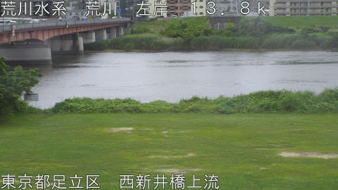 arani2026061516_image