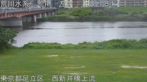 arani2026061517_image