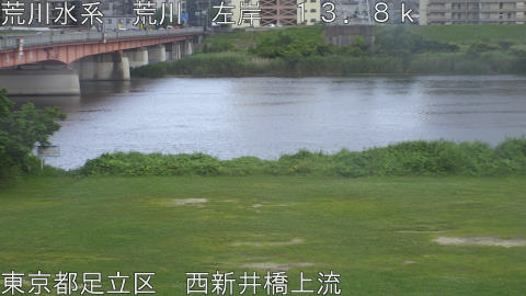 arani2026061518_image