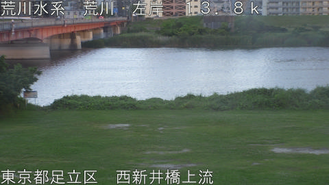 arani2026061519_image
