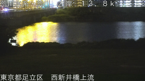 arani2026061521_image