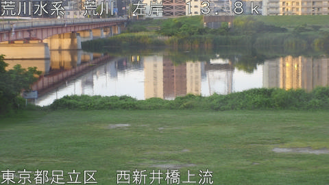 arani2026061605_image
