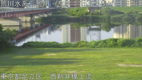 arani2026061606_image