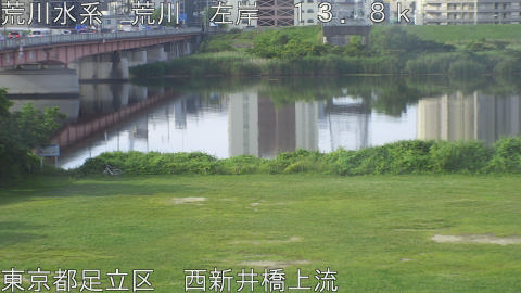 arani2026061607_image