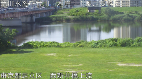 arani2026061608_image