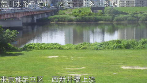 arani2026061609_image