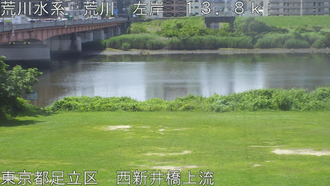 arani2026061610_image