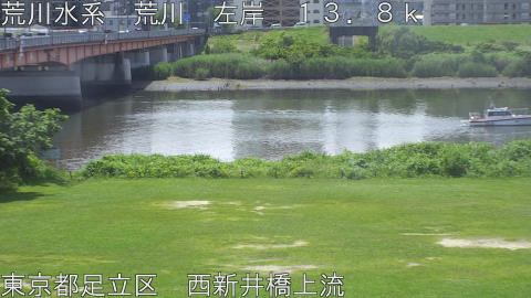 arani2026061611_image