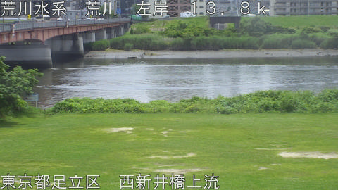 arani2026061612_image