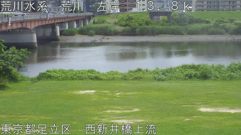 arani2026061613_image