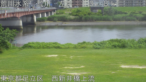 arani2026061614_image