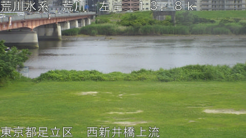 arani2026061615_image
