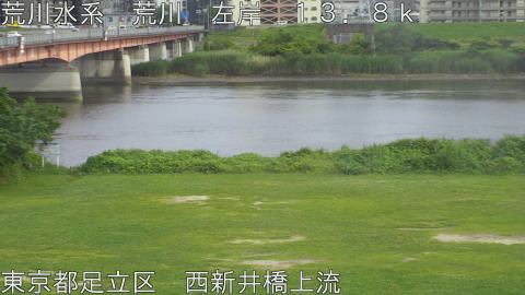 arani2026061616_image