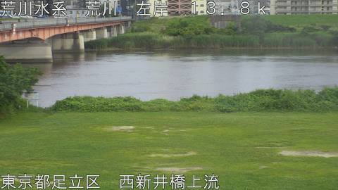 arani2026061617_image
