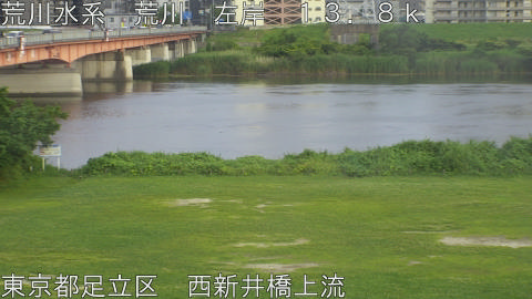 arani2026061618_image
