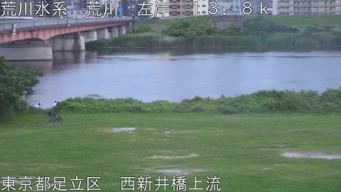 arani2026061619_image