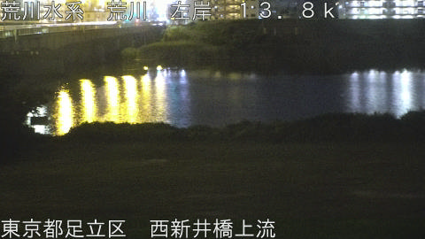 arani2026061621_image