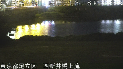 arani2026061622_image