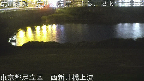 arani2026061623_image