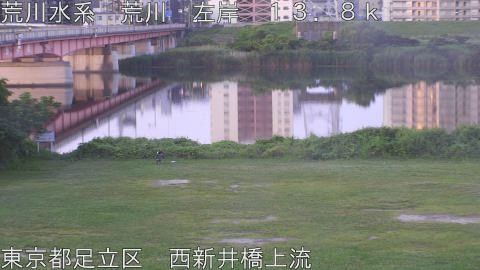 arani2026061705_image