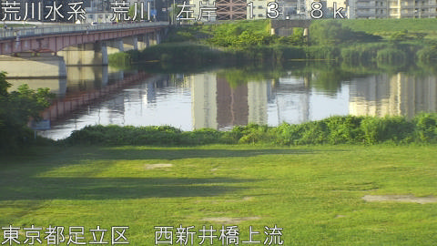 arani2026061706_image