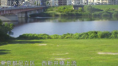 arani2026061707_image