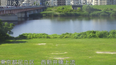 arani2026061708_image