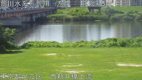 arani2026061709_image