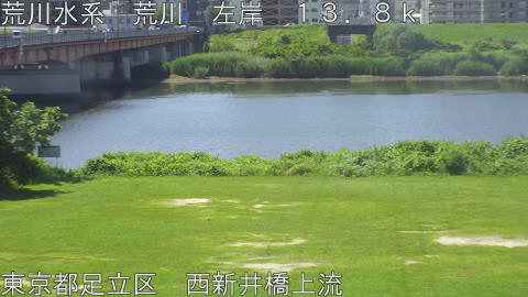 arani2026061710_image
