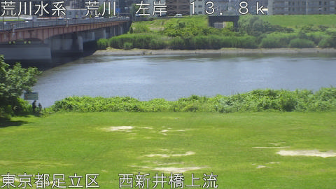 arani2026061711_image