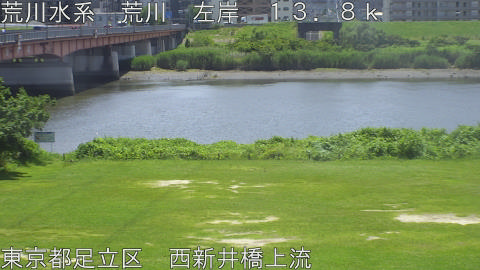 arani2026061712_image