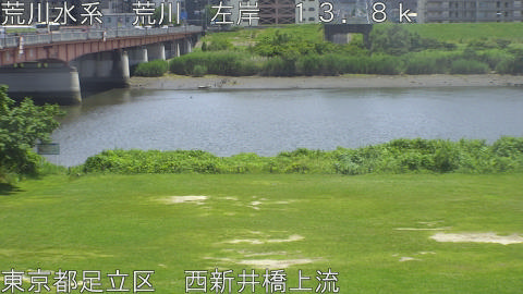 arani2026061713_image