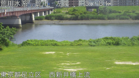 arani2026061714_image