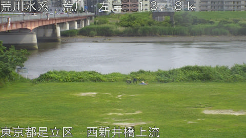 arani2026061715_image