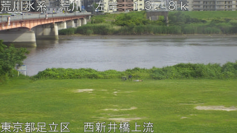 arani2026061716_image