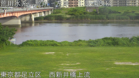 arani2026061717_image