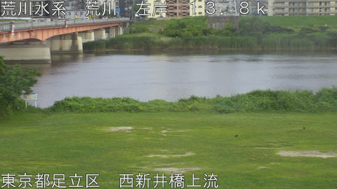 arani2026061718_image