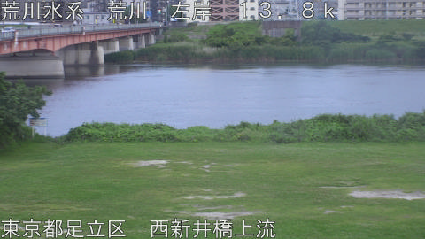 arani2026061719_image