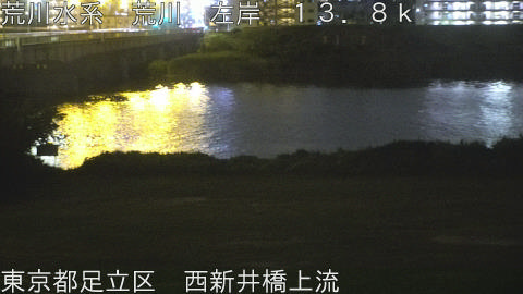 arani2026061722_image