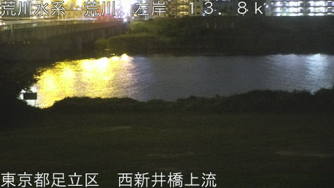 arani2026061723_image