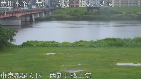 arani2026061807_image