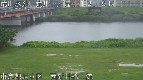 arani2026061810_image