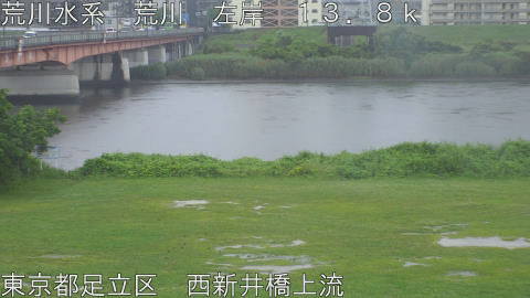 arani2026061811_image